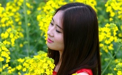 北京爱情故事插曲dj